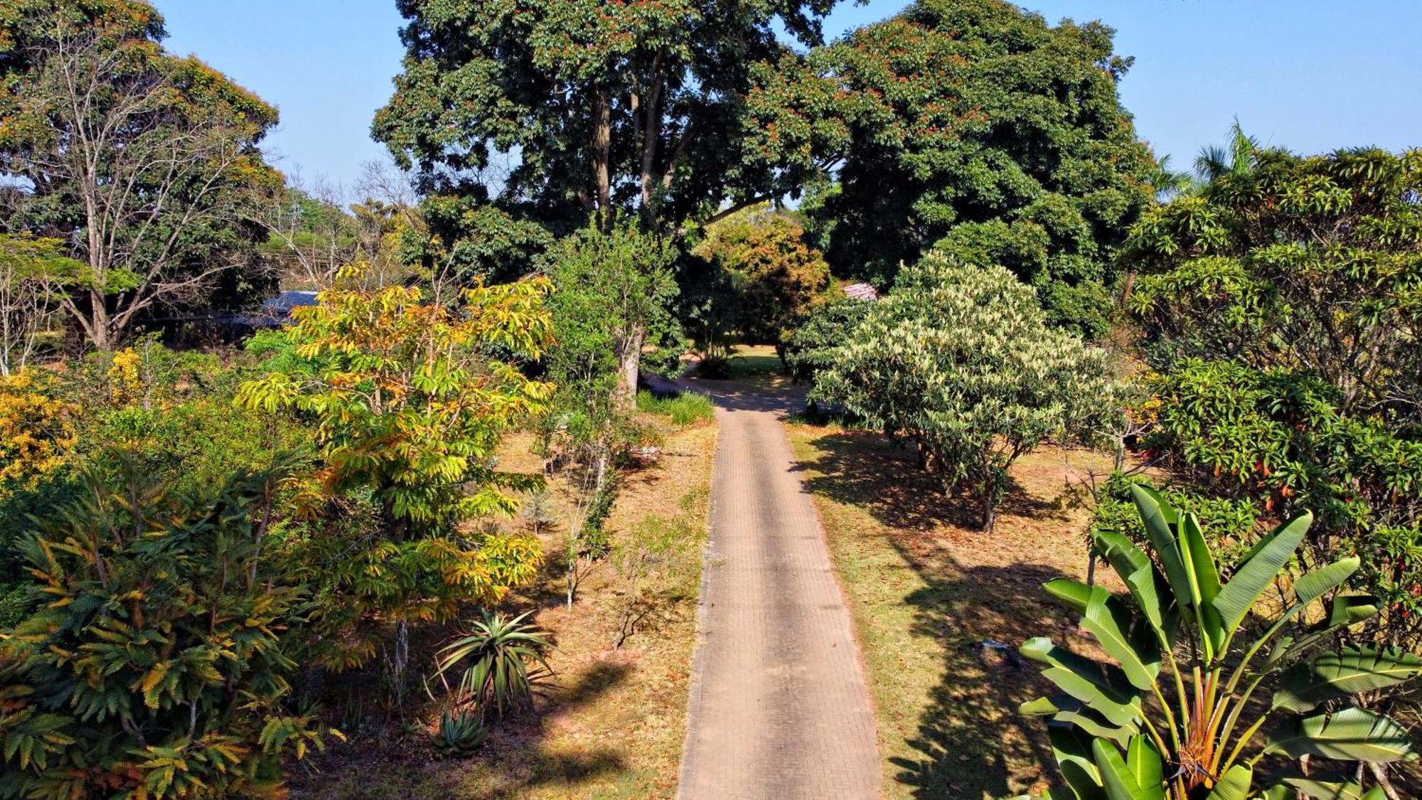 Ilanda Guest House 白河 外观 照片