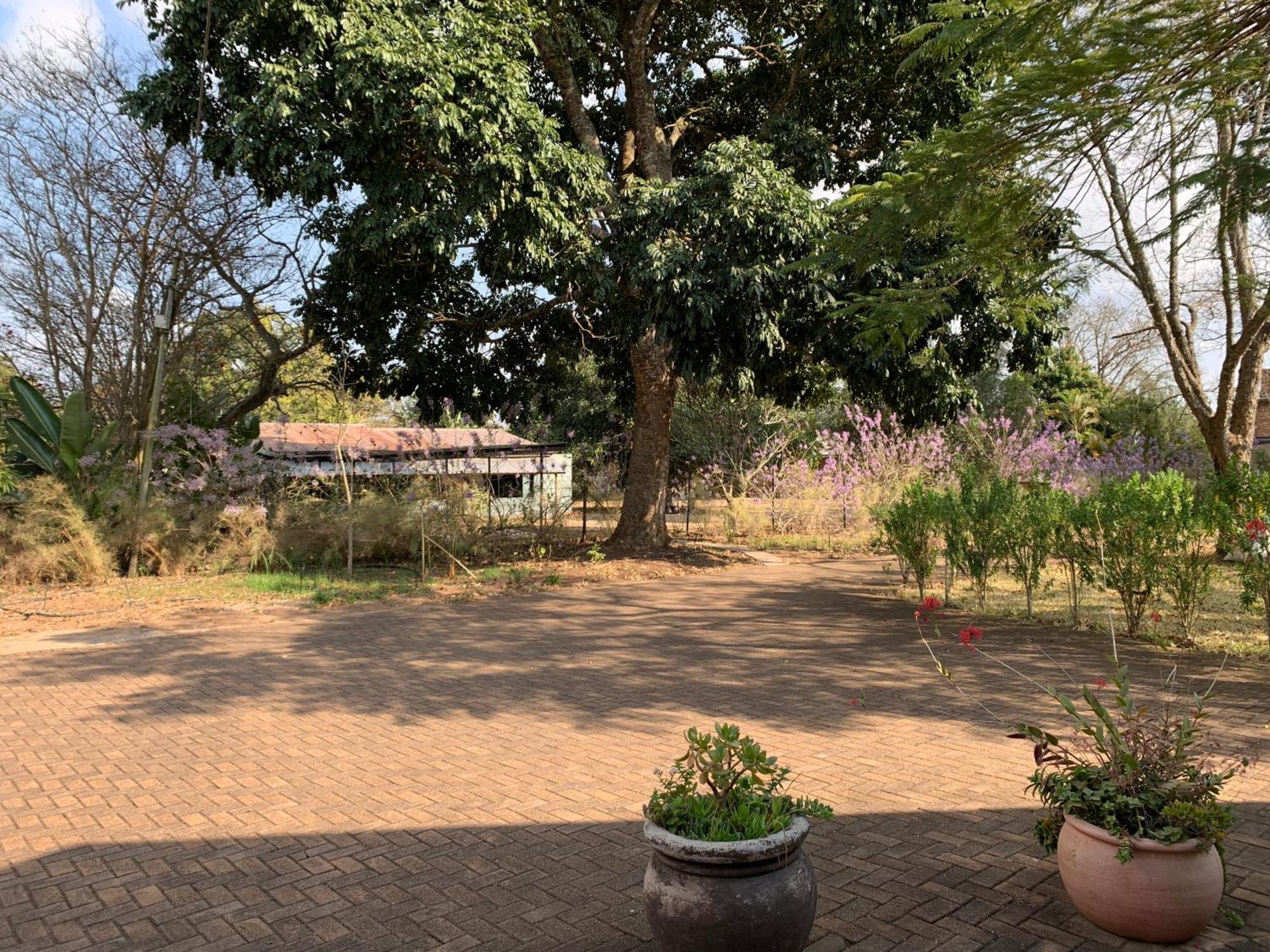 Ilanda Guest House 白河 外观 照片
